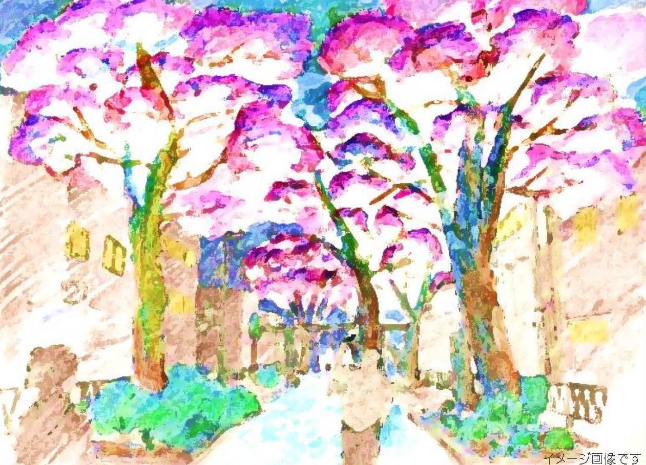 写真.jpg