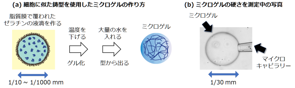 20180315_01_01.png
