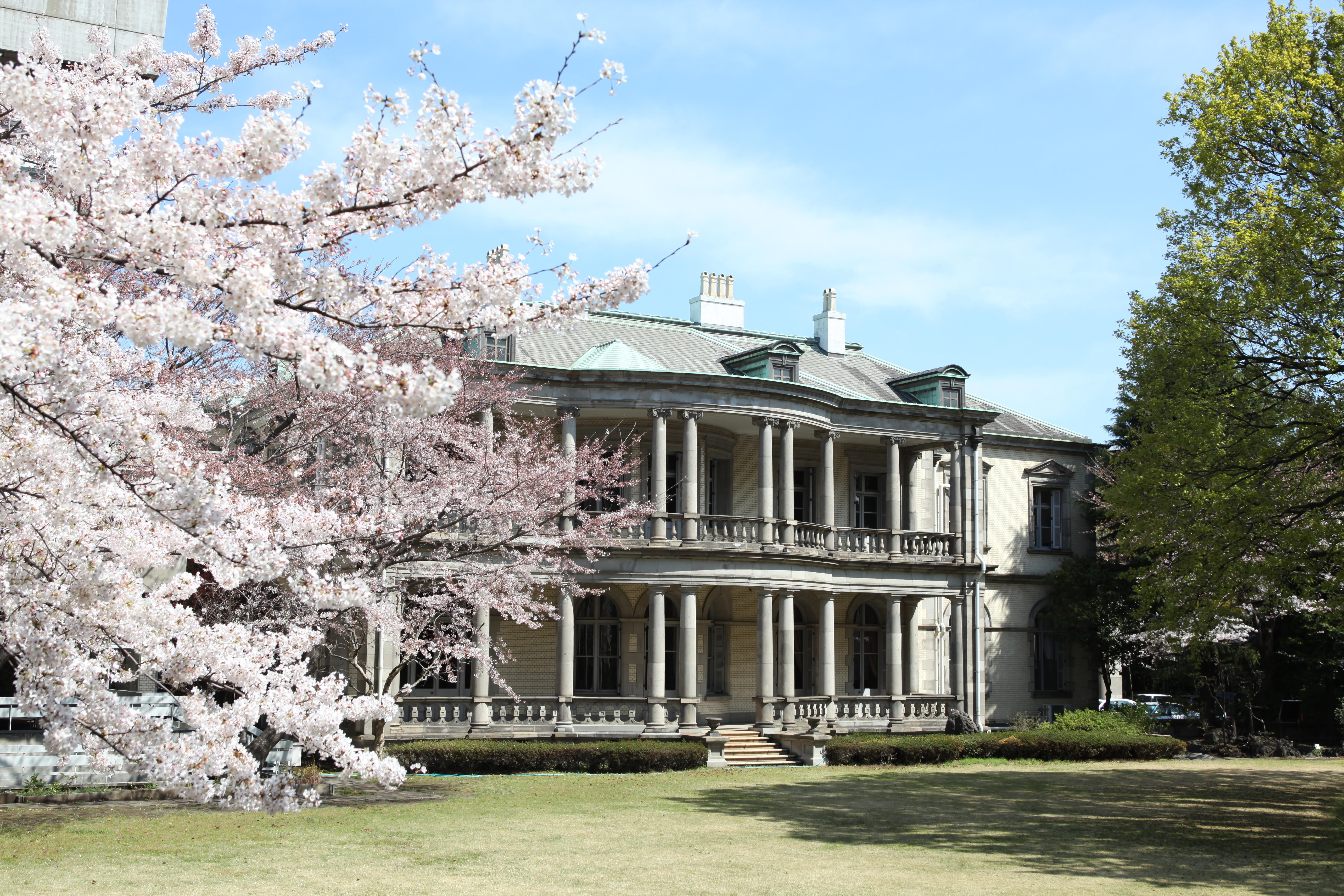 旧島津公爵邸(桜).JPG