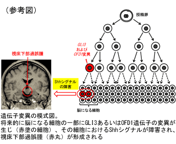 参考図