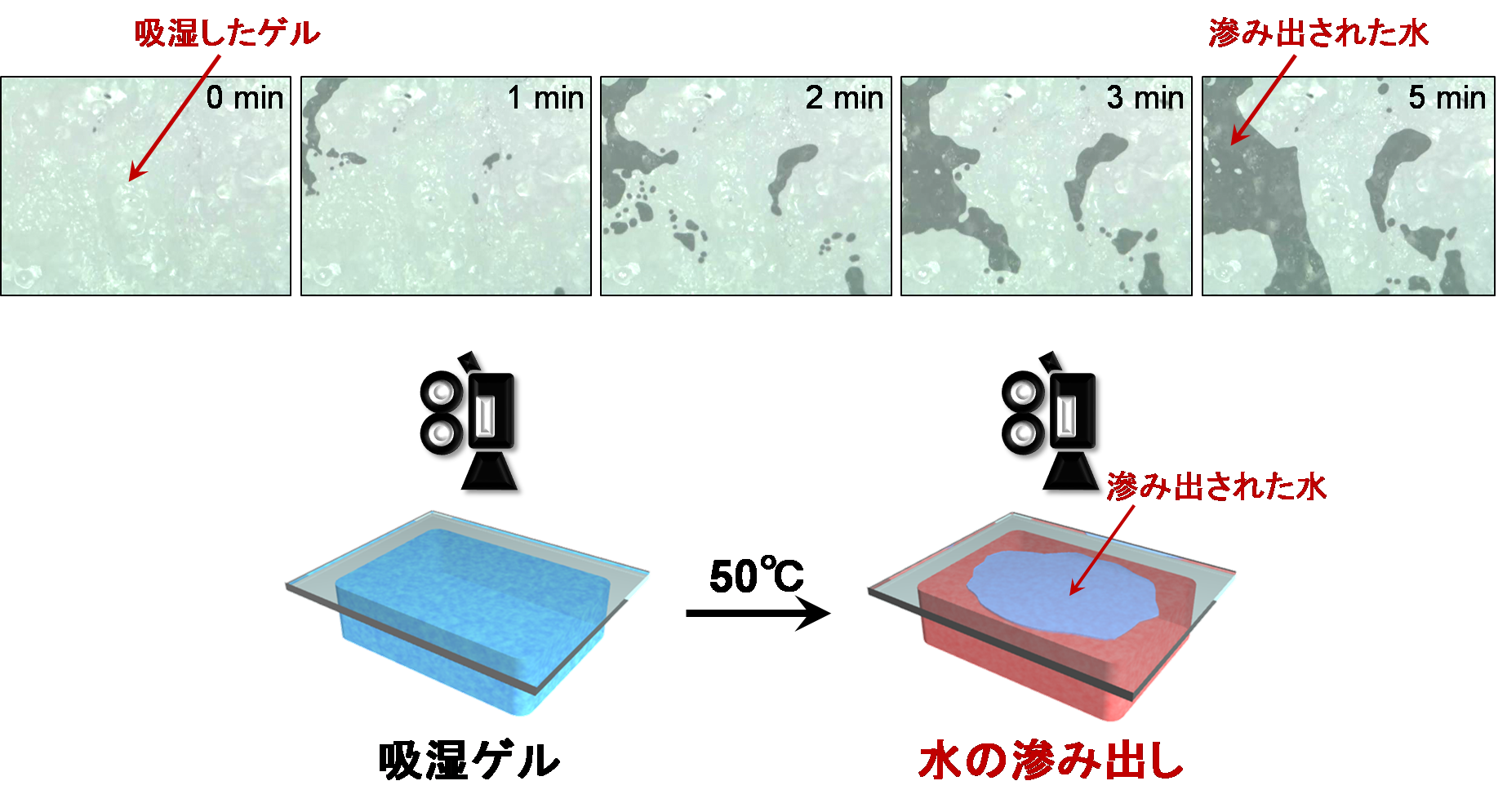 画像6.png