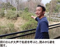 日本獣医生命科学大学
