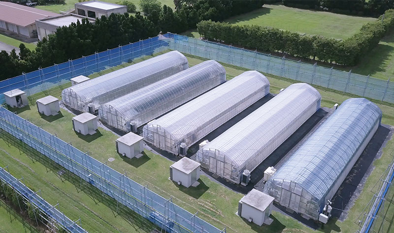 【農学特集】スペシャルインタビュー パナソニック株式会社