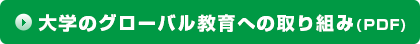 ��w�̃O���[�o������ւ̎��g��(PDF)